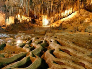Hang Dơi Phú Quốc – điểm tham quan kỳ bí