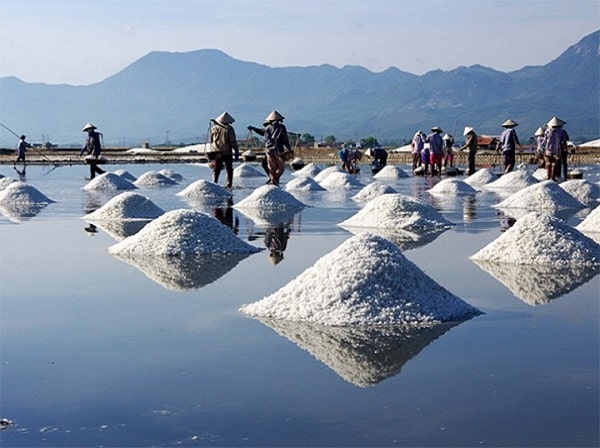 Nước mắm tại Phú Quốc chỉ sử dụng muối Bà Rịa để ướp cá 