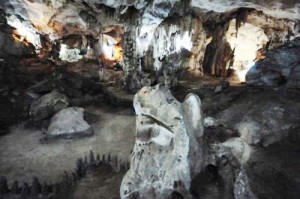 Hang dơi Phú Quốc
