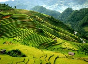 Du lịch Sapa khám phá những điểm đến thú vị.
