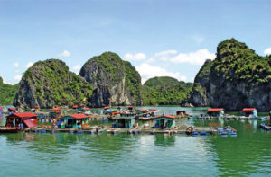 Vịnh Lan Hạ điểm đến hấp dẫn nhất đảo Cát Bà