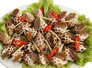 Ốc hương – đặc sản số 1 của Phú Quốc