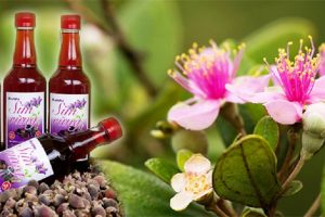 Du lịch Phú Quốc mua sim làm quà “khỏi chê”