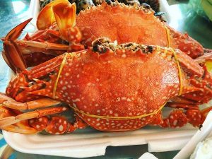 Đặc sản Ghẹ Phú Quốc – thưởng thức một lần nhớ cả đời