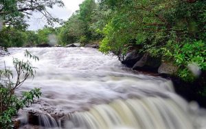 Suối Đá Bàn Phú Quốc hùng vĩ và thơ mộng