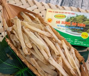 Tác dụng của con Sá Sùng – Ăn Sá Sùng chữa được bệnh gì?