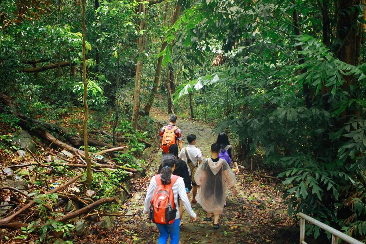 Trekking trong rừng nguyên sinh ở Côn Đảo