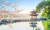 Những quyền lợi dành cho khách hàng khi tham gia Tour du lịch Hàng Châu - Tô Châu Trung Quốc của Kavo Travel